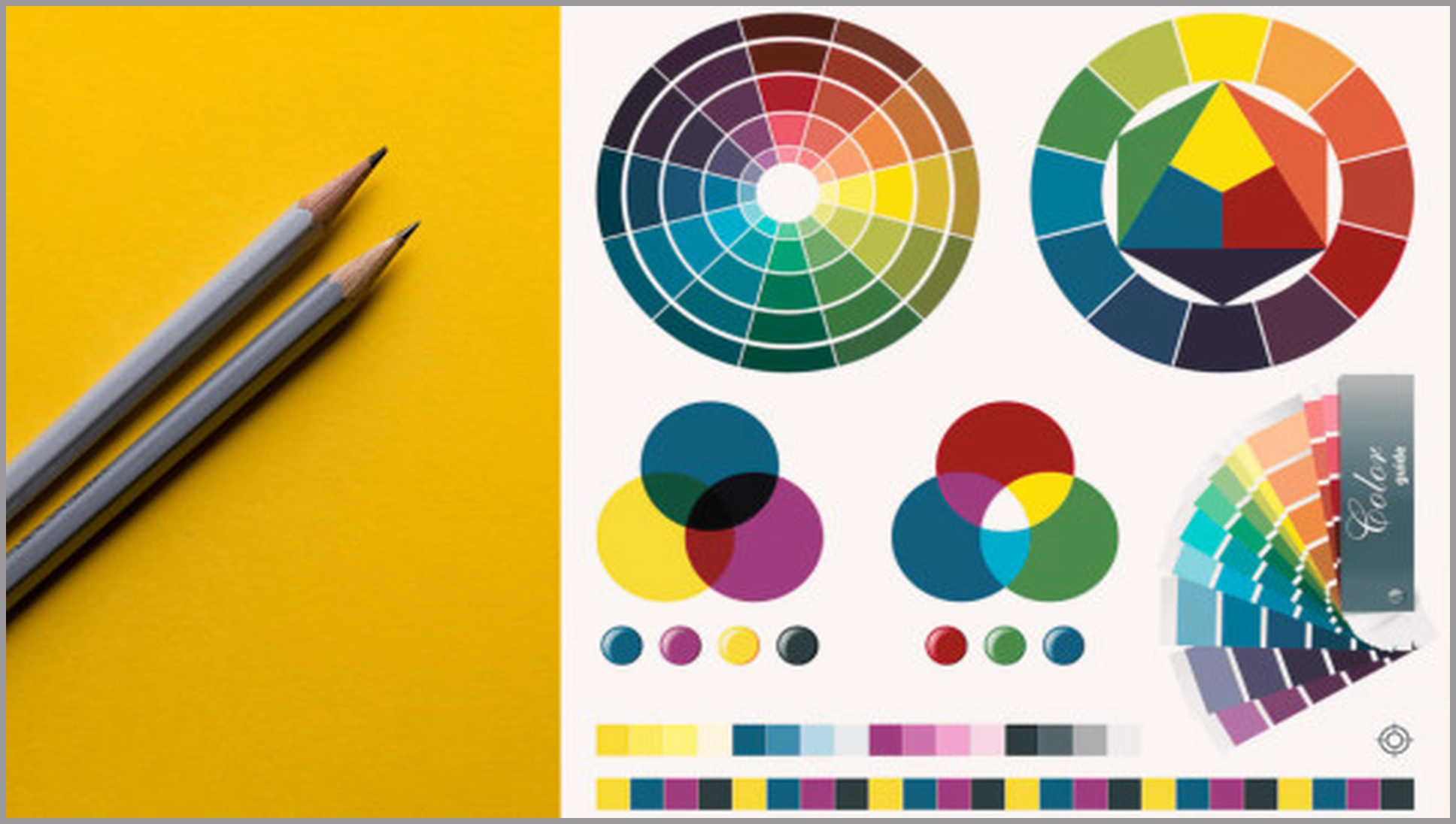 دليل ألوان العلامة التجارية